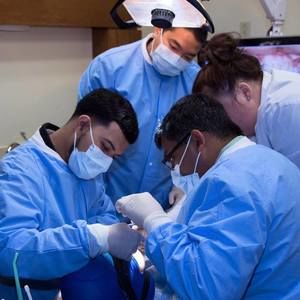 Meet your Posher, Jose